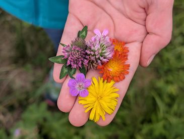 Kennenlerntage in Kleinsassen